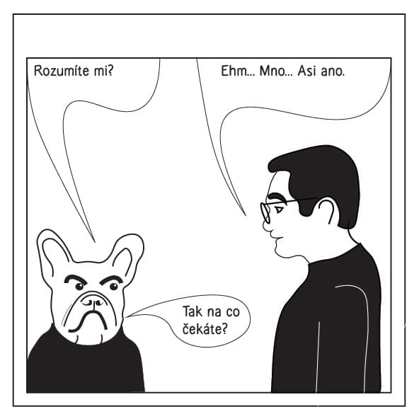 Instagram příspěvek 2